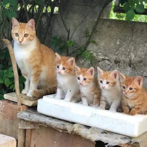 fb_164792499665821