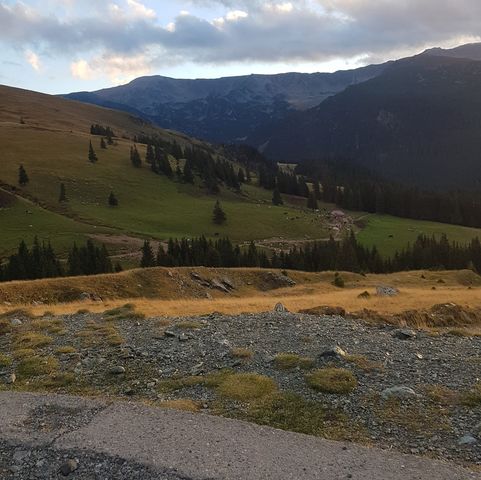 fb_3399381193649374