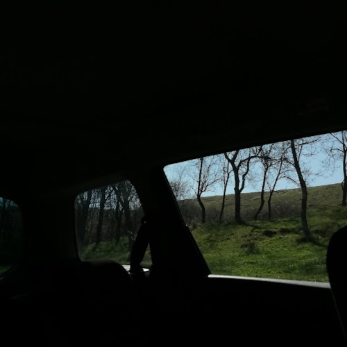 profile_google654b7c4264f3d