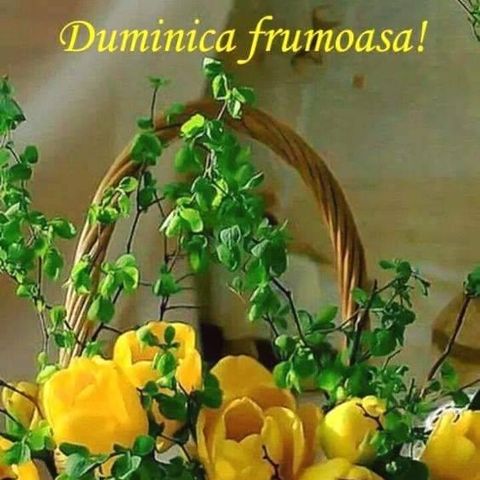 fb_261905520219293