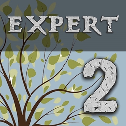 Enigmatica 2: Expert - E2E icon