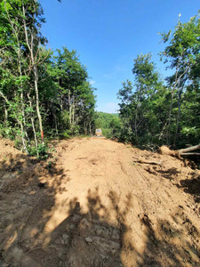 Shiten parcelat nga 5 dhe 10 ari