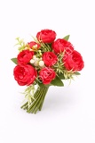 PB35 Raidant Red Peony Bunch 4B4S