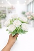 RB9 Elegant White Rose Bunch 5R+MF