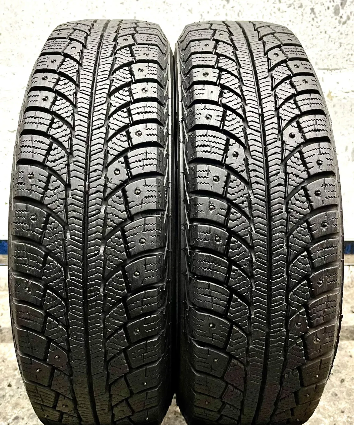 Altimax Arctic 12