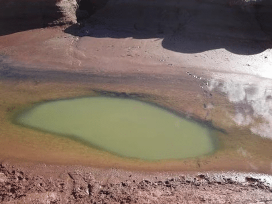 Para visitar: El inmenso y desértico desierto de sal en La Pampa