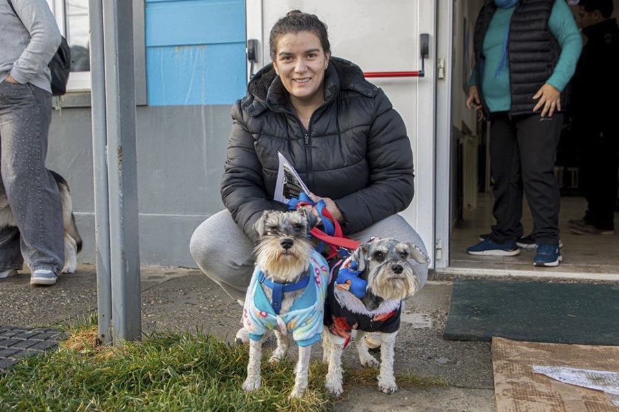 Nueva jornada de vacunación, colocación de chip y adopción de mascotas