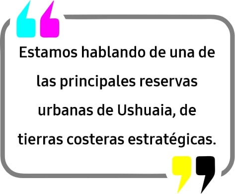 “Milei quiere rematar Ushuaia y los senadores libertarios son los escribanos de esa entrega”