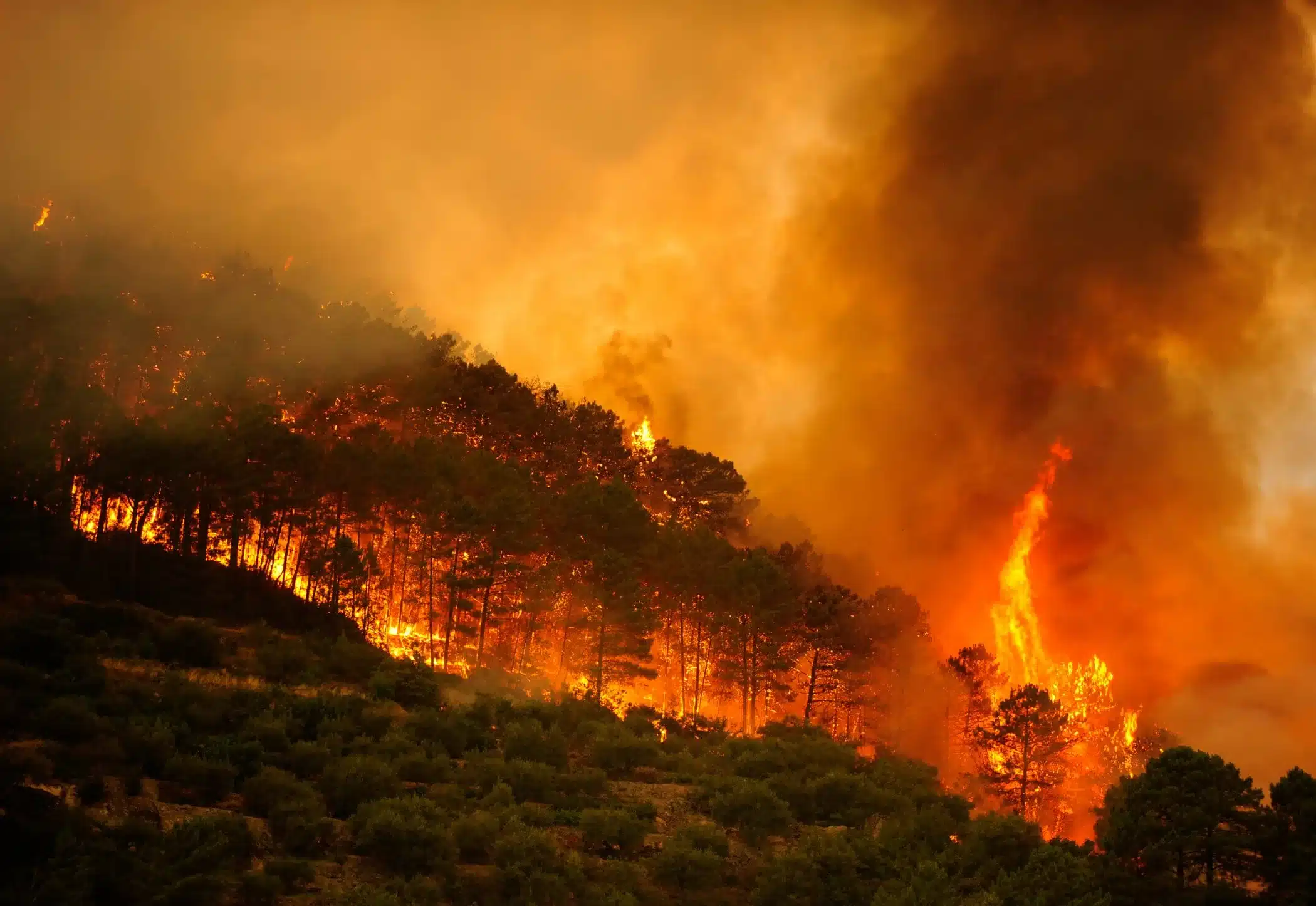 España: más de 63.000 personas son evacuadas o confinadas por incendios y el Gobierno declara la emergencia nacional
