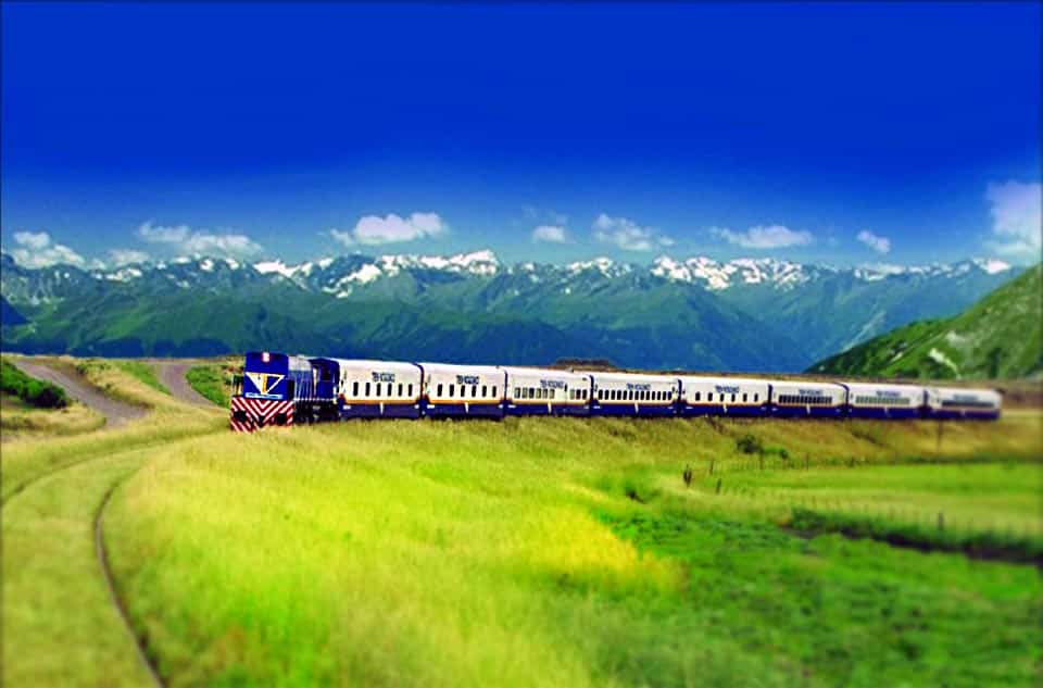 Tren Patagónico a Bariloche: cuánto cuesta viajar en camarote y llevar el auto en el furgón