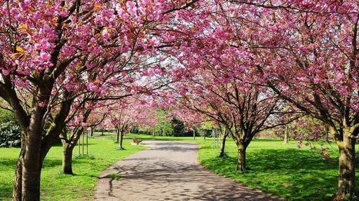 Muchas cosas que no sabías de la primavera