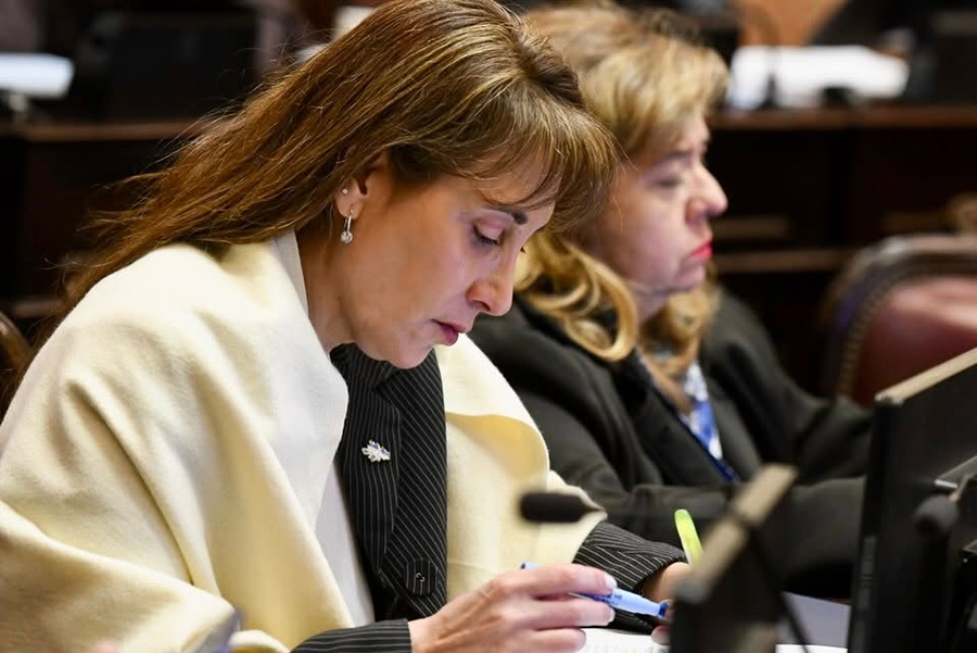 Cristina López criticó a los senadores libertarios