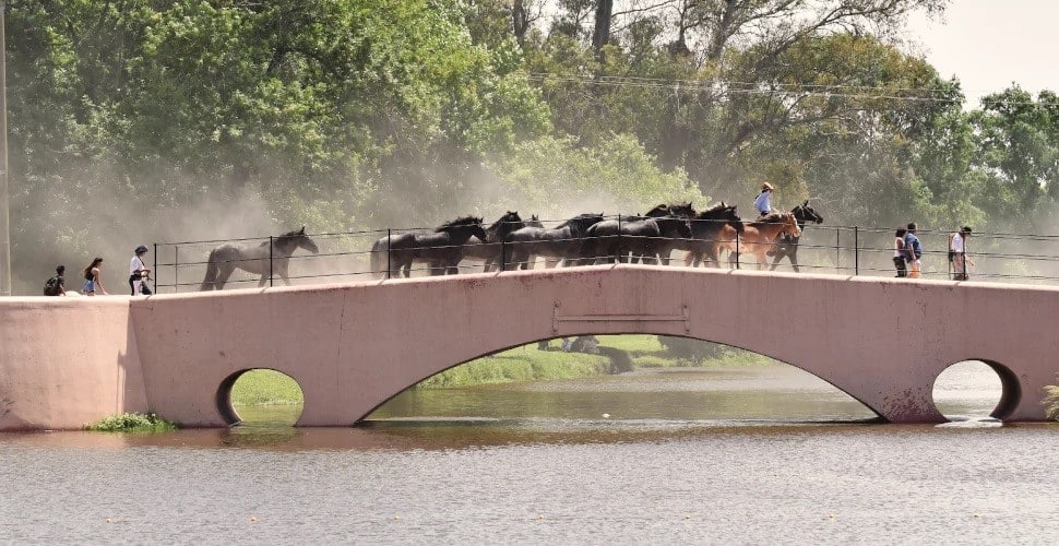 Escapadas cortas en Argentina: tres destinos para disfrutar tradición, río y bienestar en pocos días