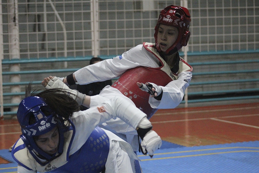 Copa Tierra del Fuego de taekwondo
