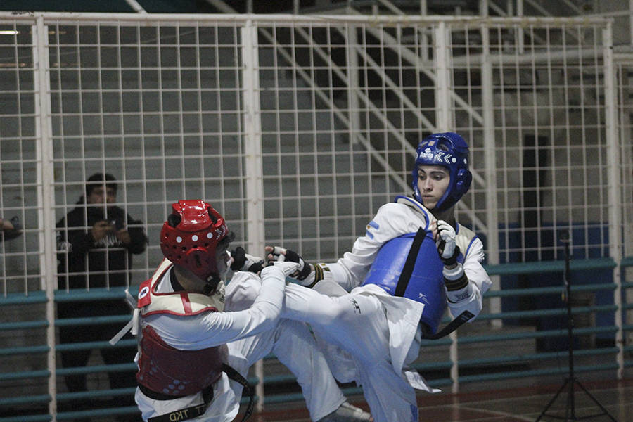 Copa Tierra del Fuego de taekwondo