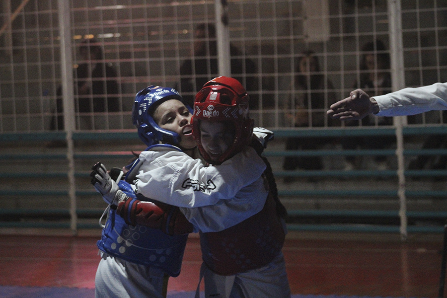 Copa Tierra del Fuego de taekwondo