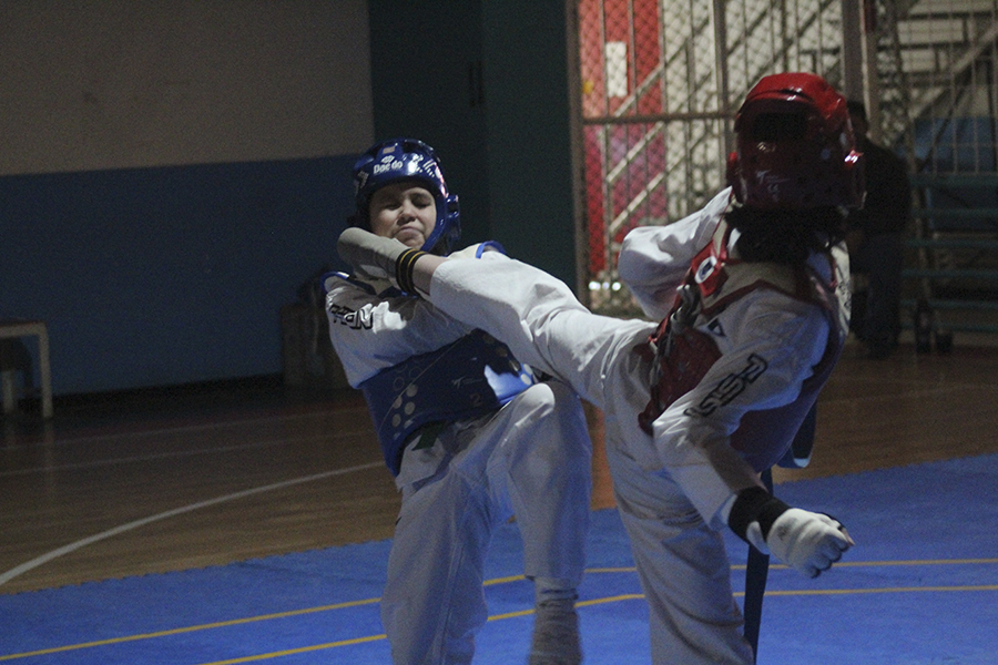 Copa Tierra del Fuego de taekwondo