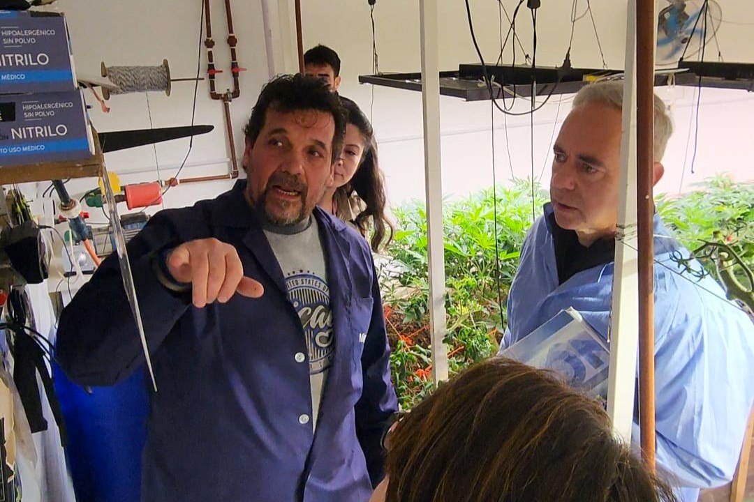 Destacan el nivel técnico y el potencial del cultivo fueguino de cannabis medicinal