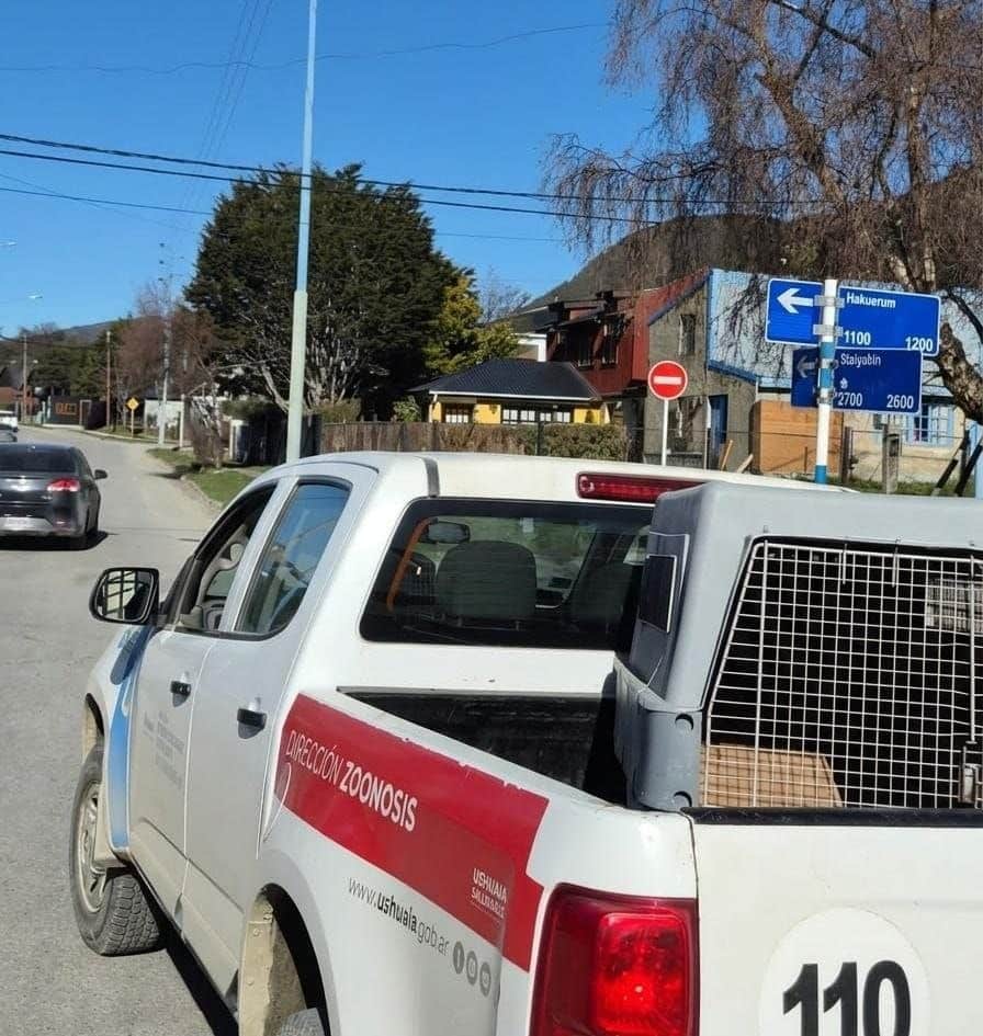28 actas por infracciones a la normativa sobre tenencia responsable