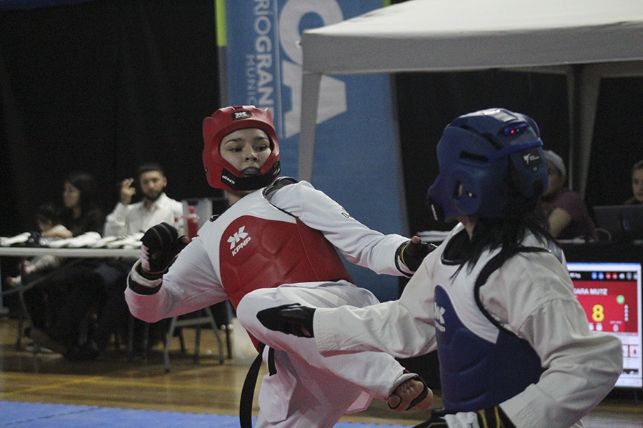 Panamericano en el CeNARD