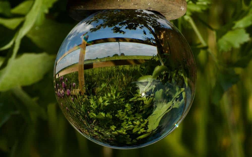 Día de la Tierra 2026: “Nuestro poder, nuestro planeta” marca un enfoque global de acción climática