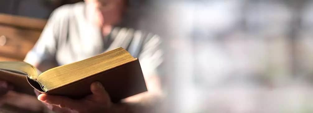 Leer es uno de los hábitos fundamentales para mantener un cerebro saludable