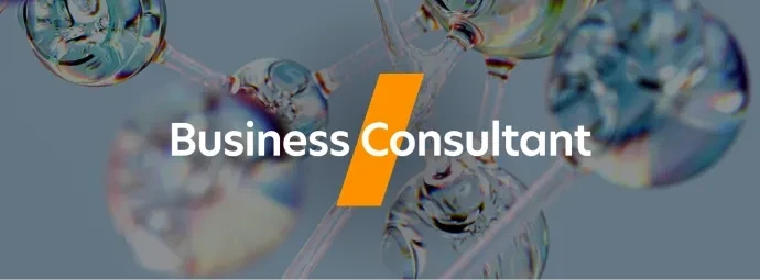 Business Consultant