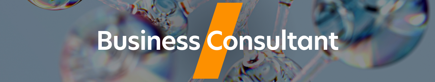 Business Consultant