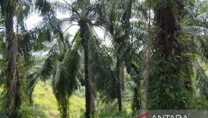 IMG_20260801_132417