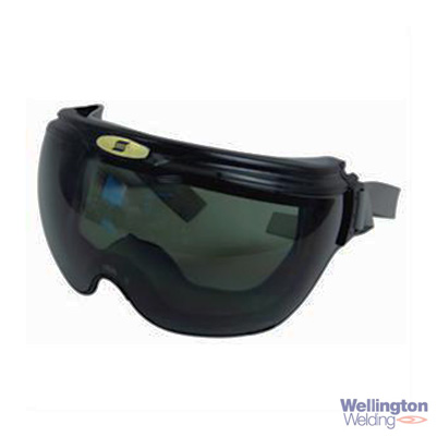 Esab Revolution Ski Goggle Tinted cover image