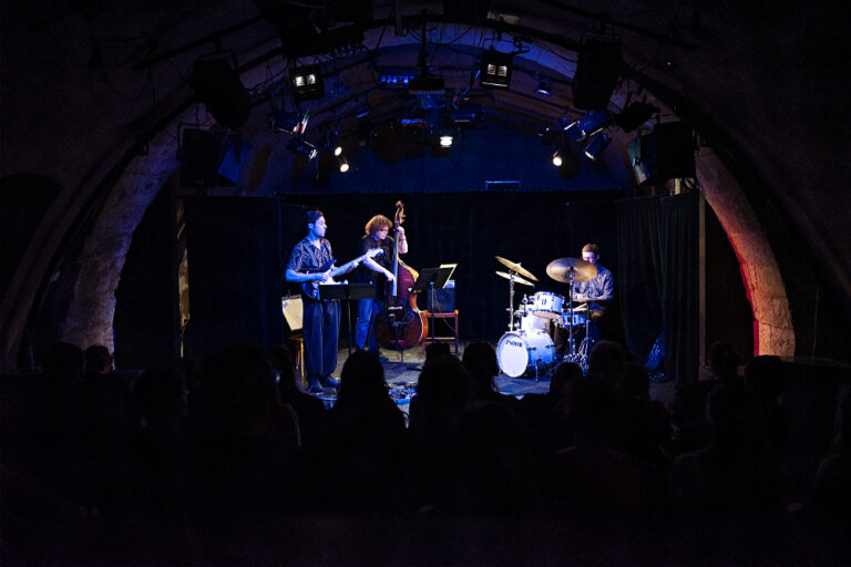 A compact, intimate studio theatre located in the historic vaulted basement of the Liechtenstein Palace on Malostranské náměstí in Prague
