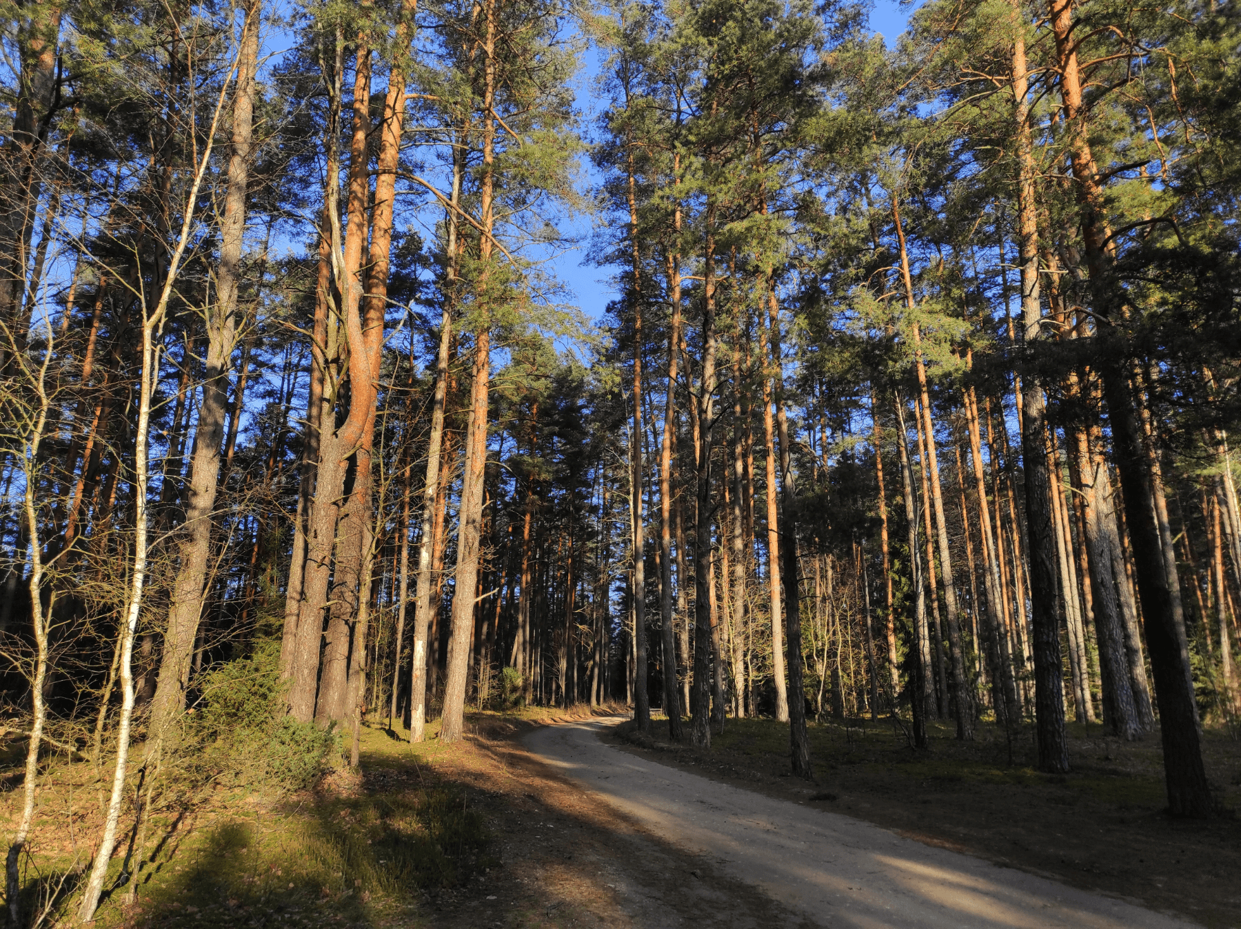 Bražuolės ir Neries takais: Bražuolės slėnio takas