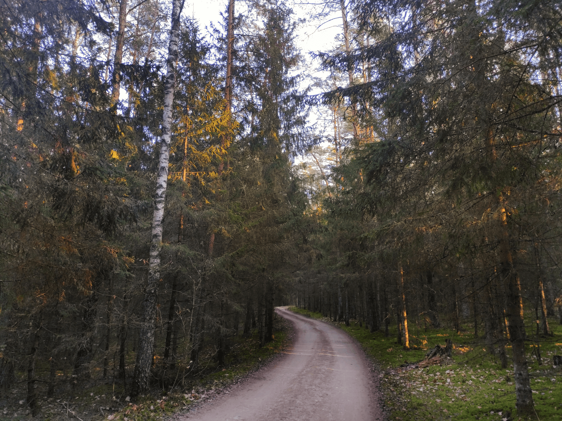 Bražuolės ir Neries takais: Mitų ir panoramų žygis