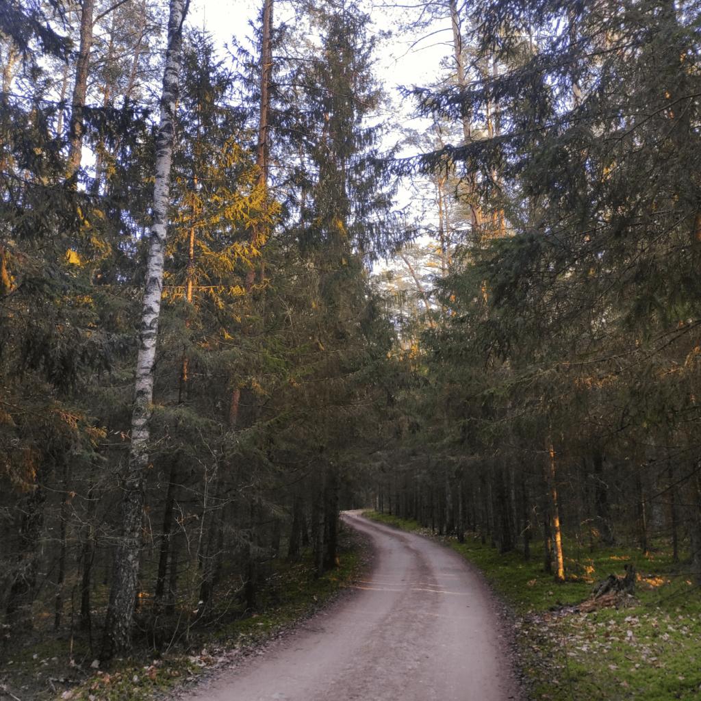 Bražuolės ir Neries takais: Mitų ir panoramų žygis