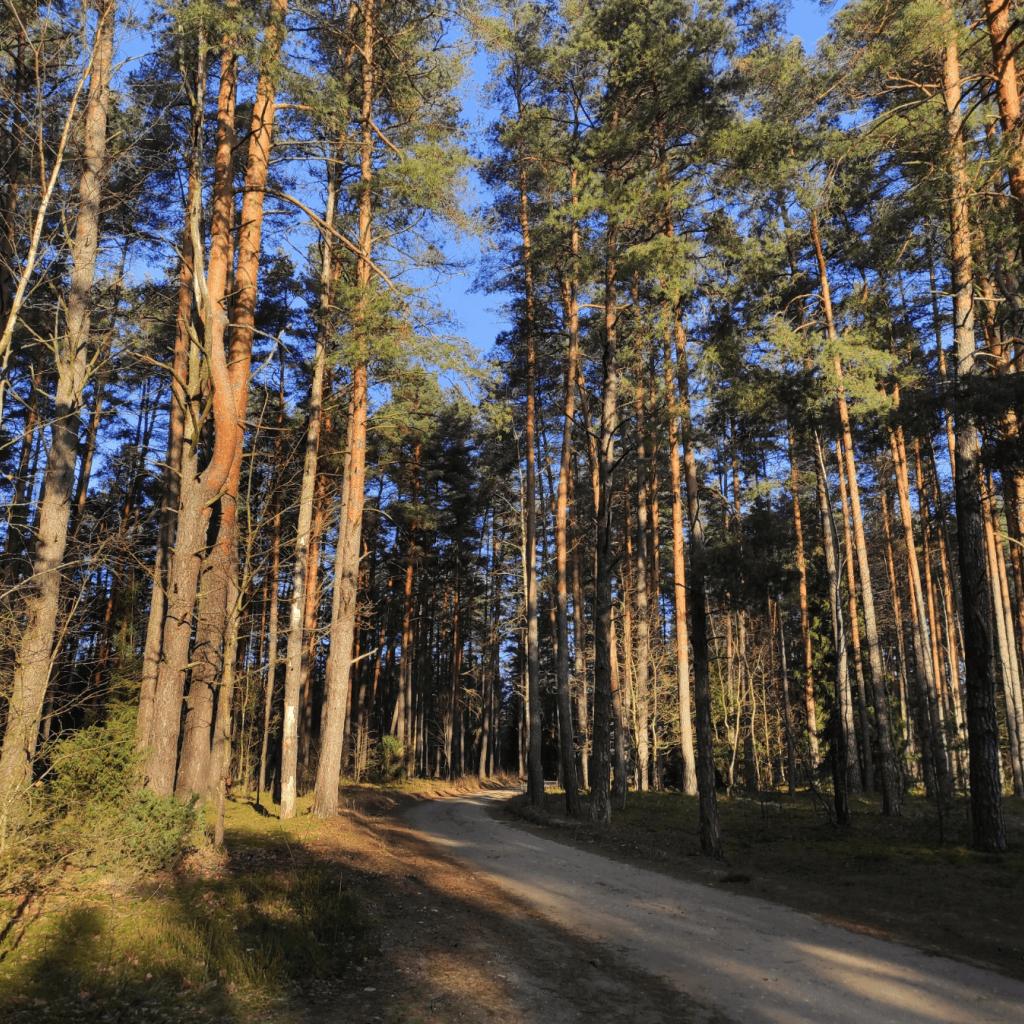Bražuolės ir Neries takais: Mitų ir panoramų žygis