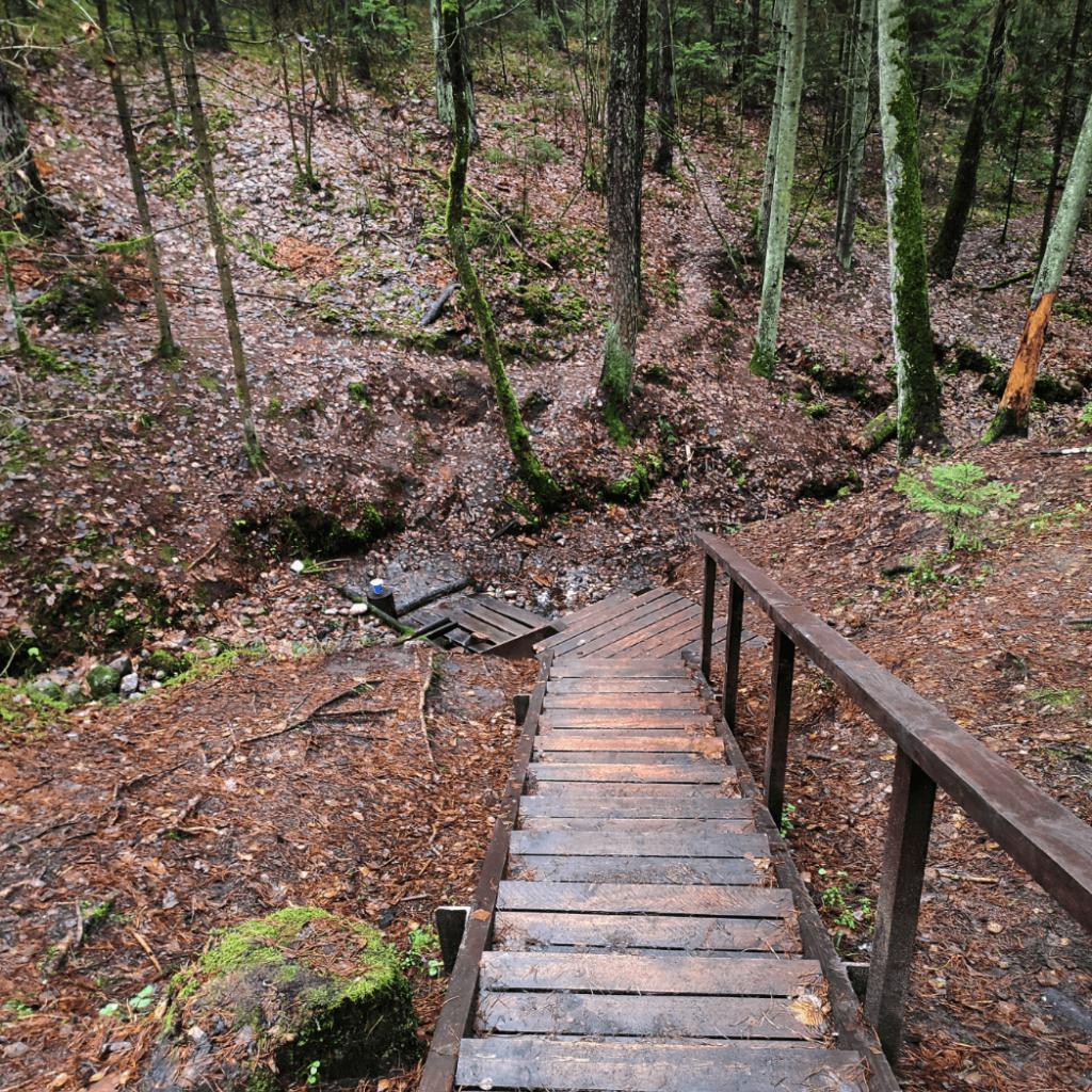 Bražuolės ir Neries takais: Mitų ir panoramų žygis