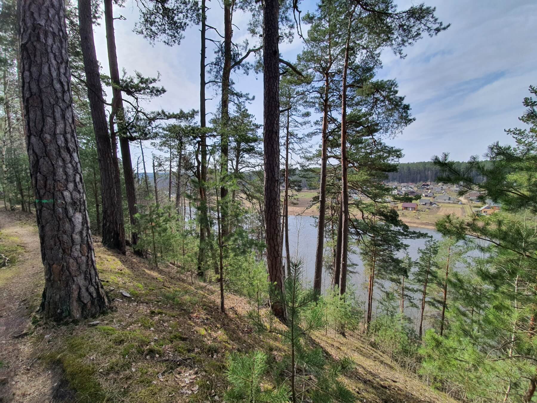 Miškų ir vingiuojančios Neries kelias