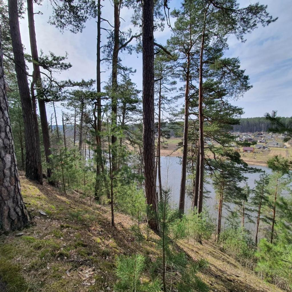 Miškų ir vingiuojančios Neries kelias