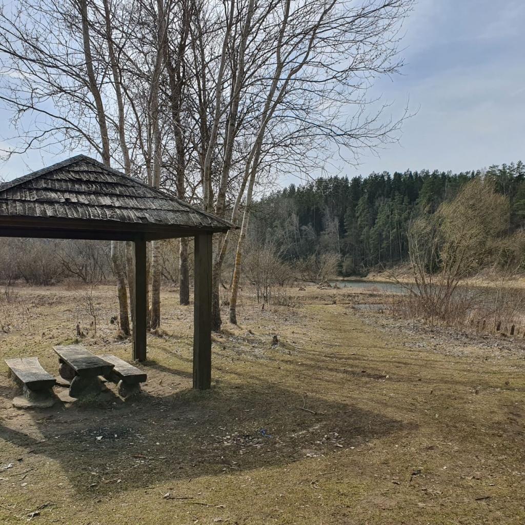 Miškų ir vingiuojančios Neries kelias