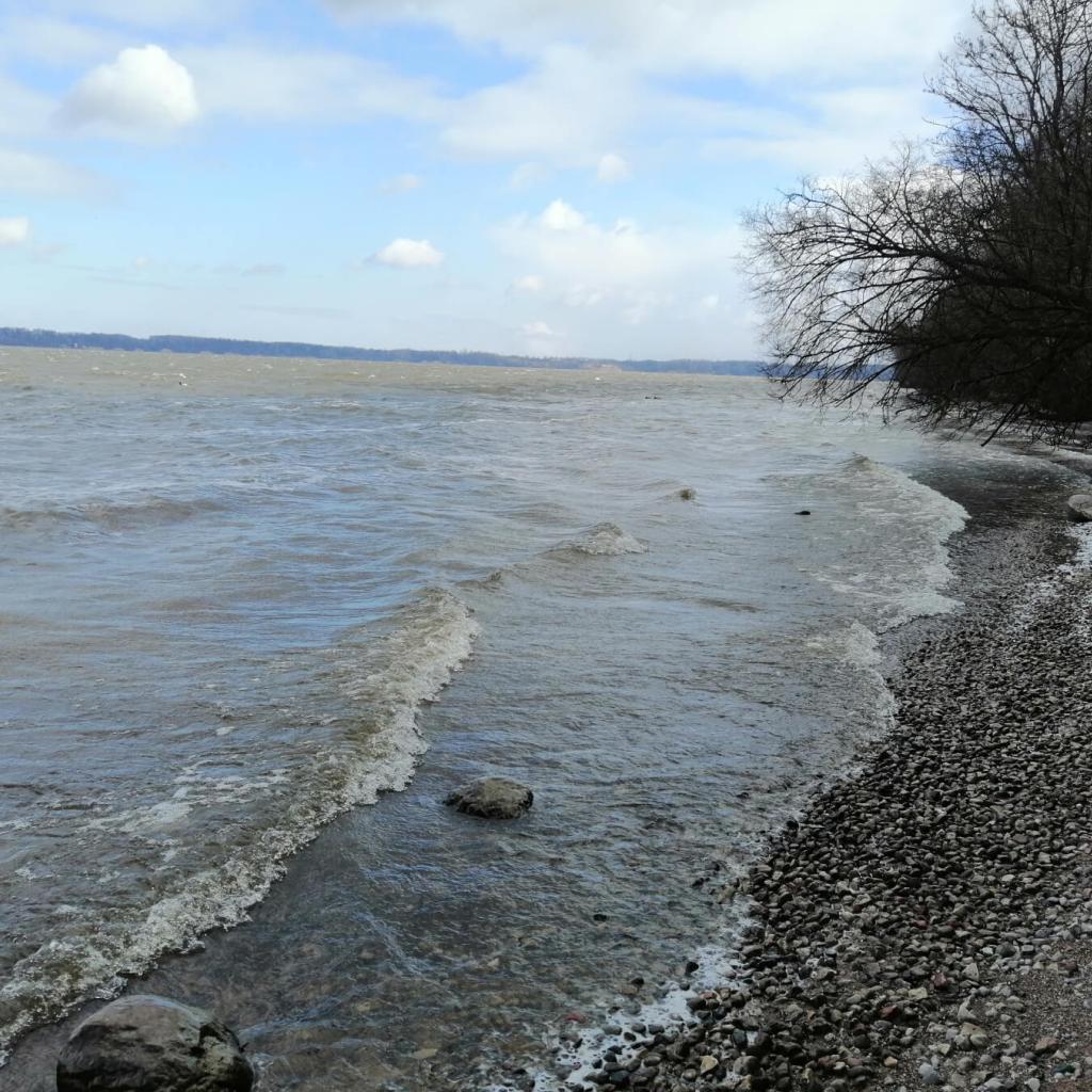 Kauno marių pakrančių takas