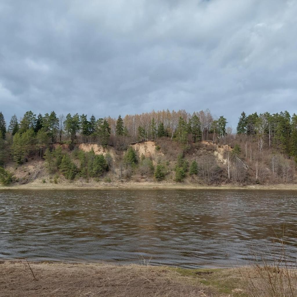 Prienų šilo ir Nemuno kelias (10 km)