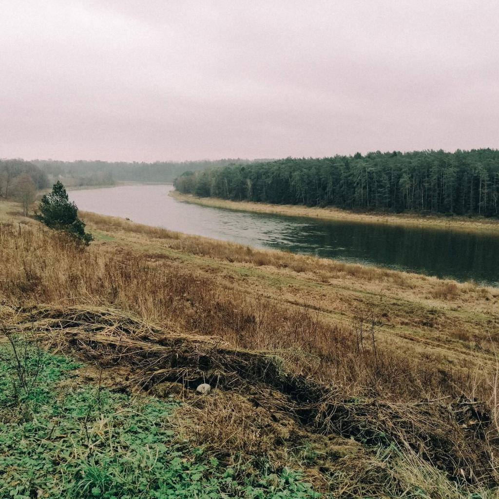 Prienų šilo ir Nemuno kelias (10 km)