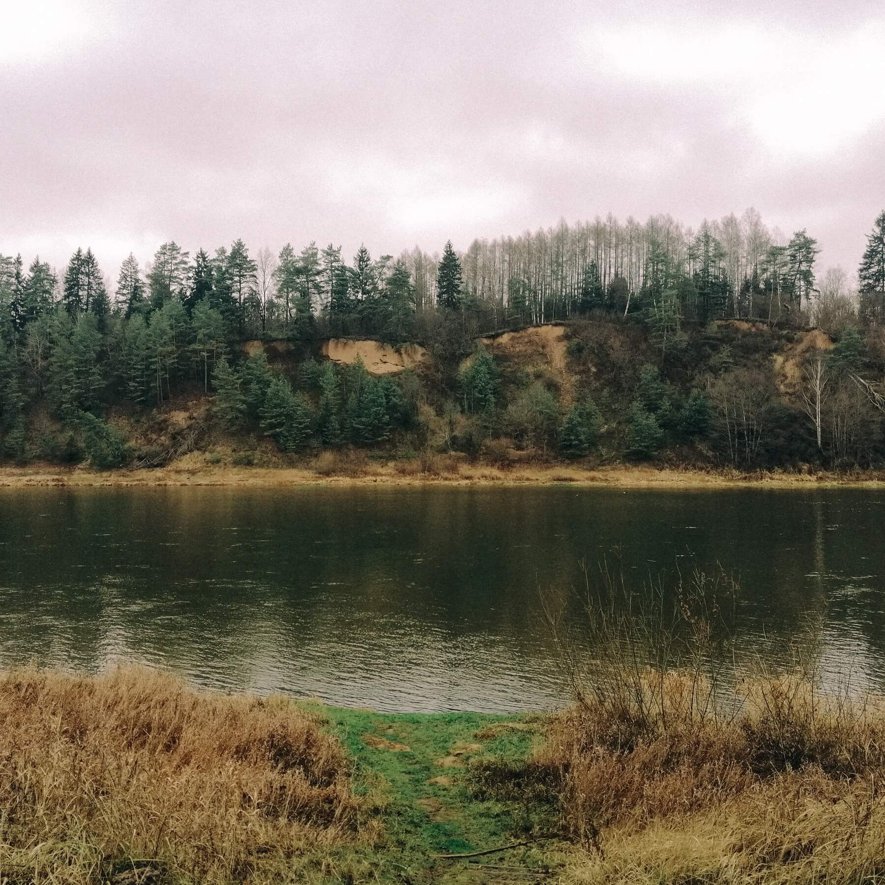 Prienų šilo ir Nemuno kelias (15 km)