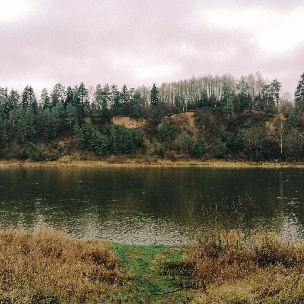 Prienų šilo ir Nemuno kelias (15 km)