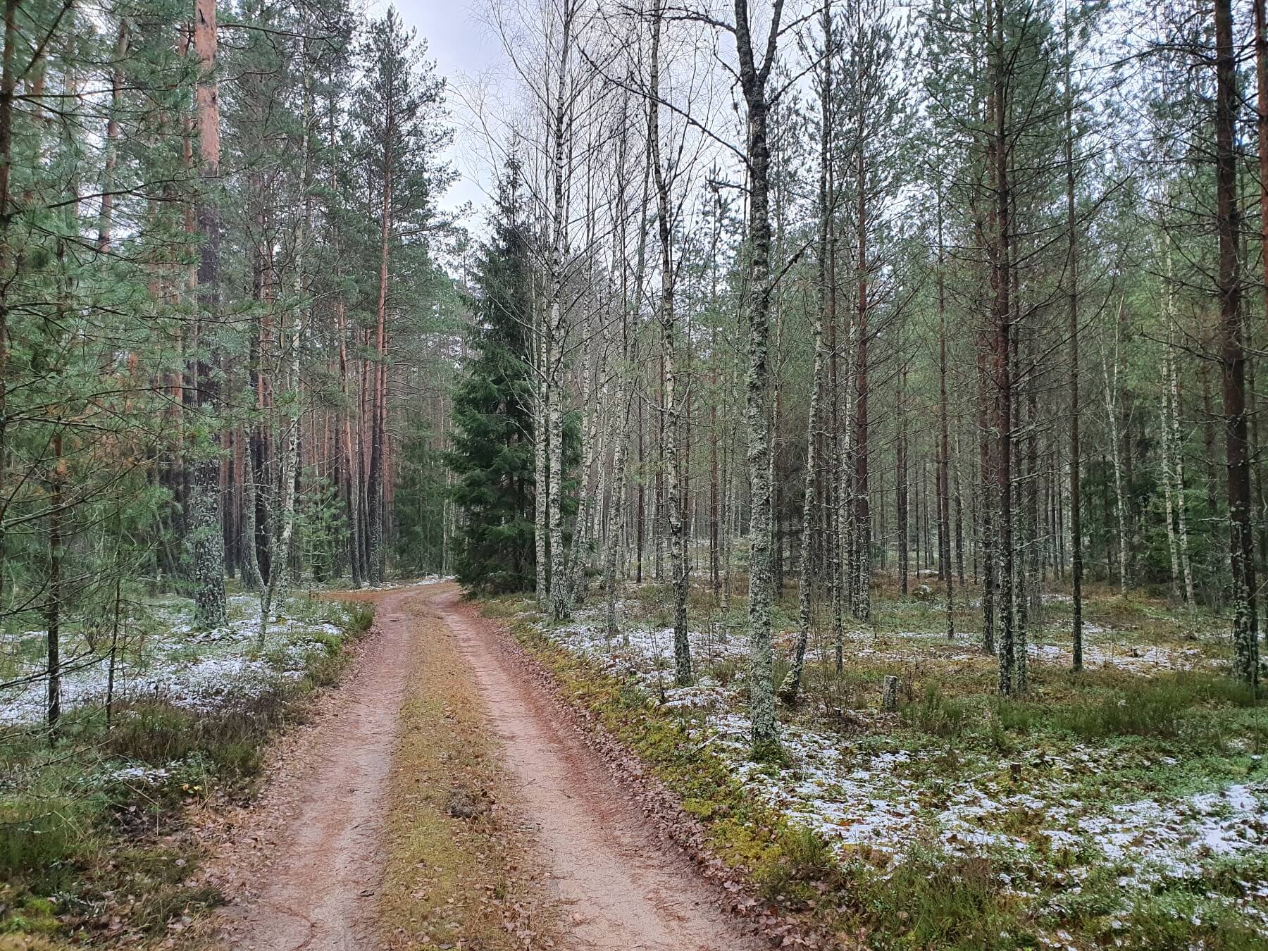Miškų ir ežerų žygis Asvejos regioniniame parke: pietinis takas