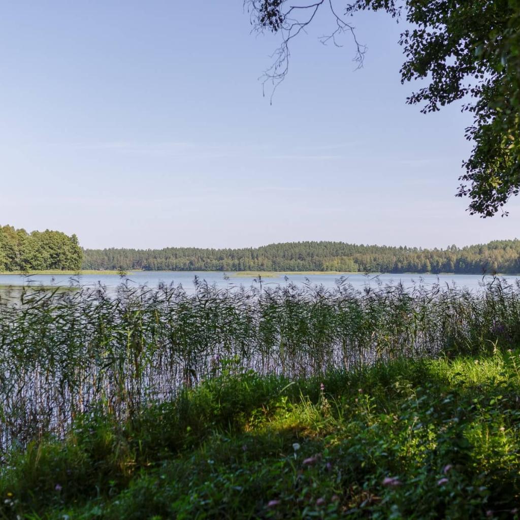 Asvejos miškų ir ežerų žygis: vakarinis takas