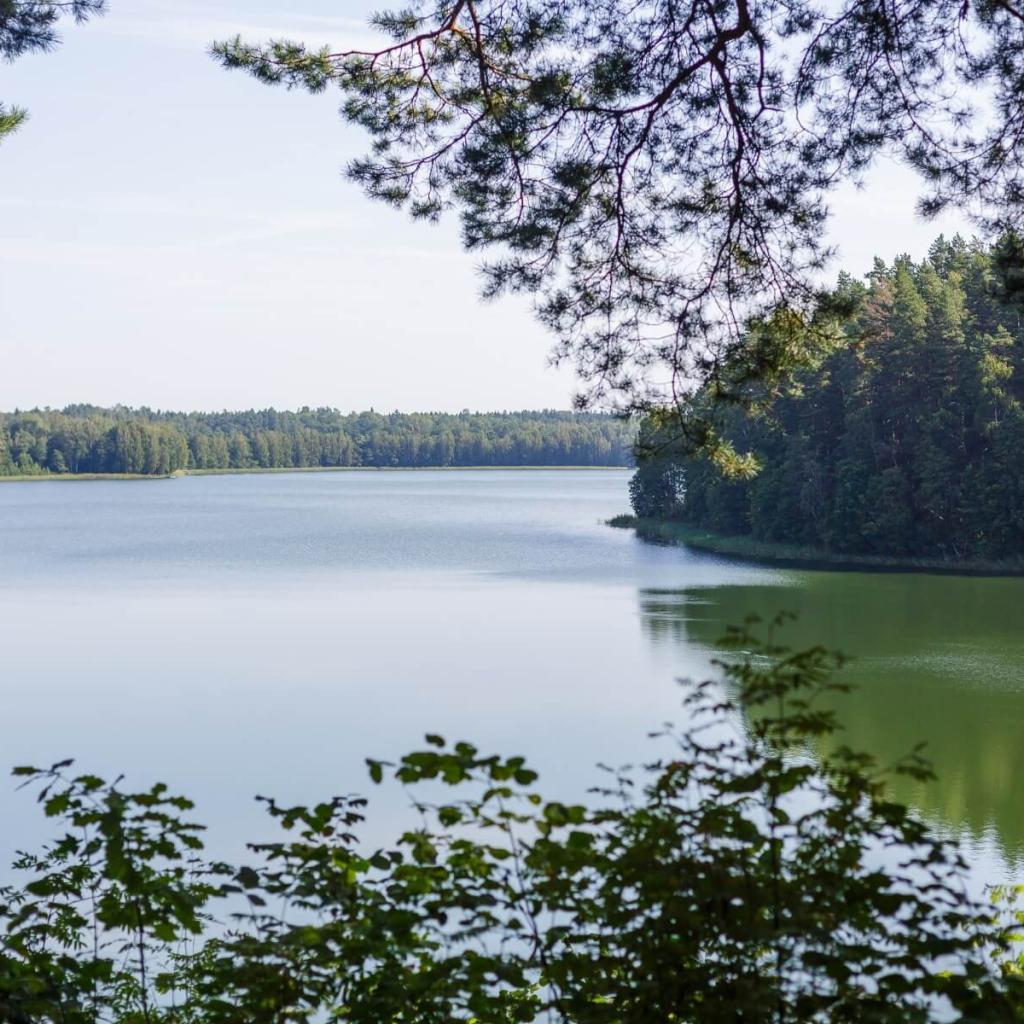 Asvejos miškų ir ežerų žygis: vakarinis takas