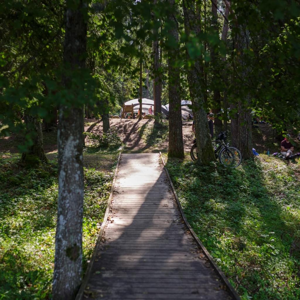 Asvejos miškų ir ežerų žygis: vakarinis takas