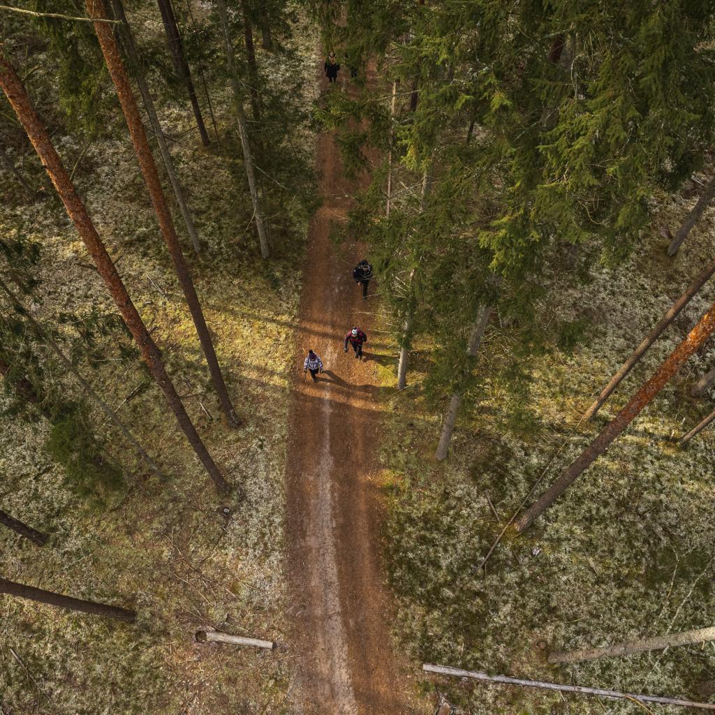 Kazlų Rūdos miškų kelias (5 km)