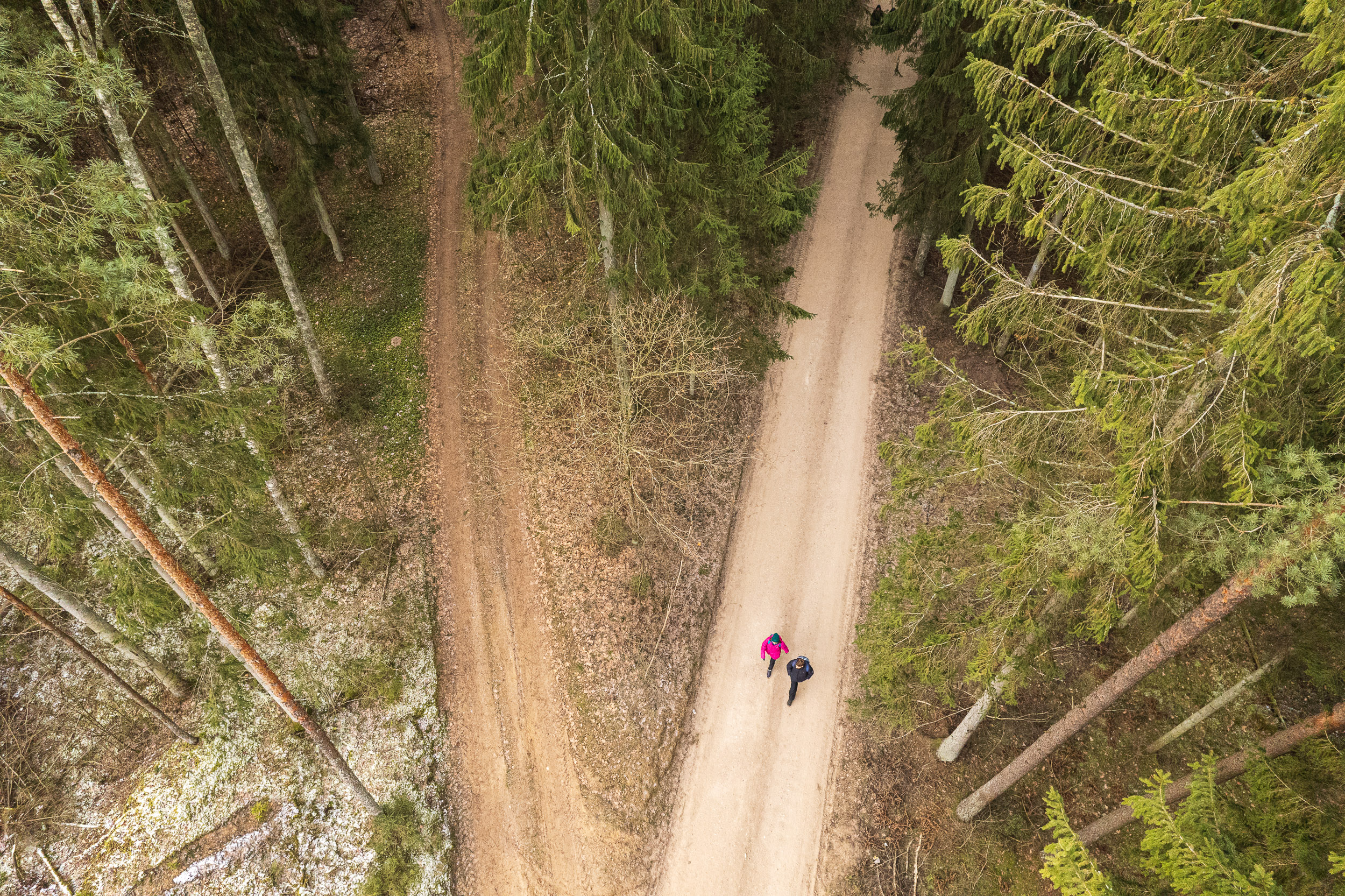 Kazlų Rūdos miškų kelias (10 km)
